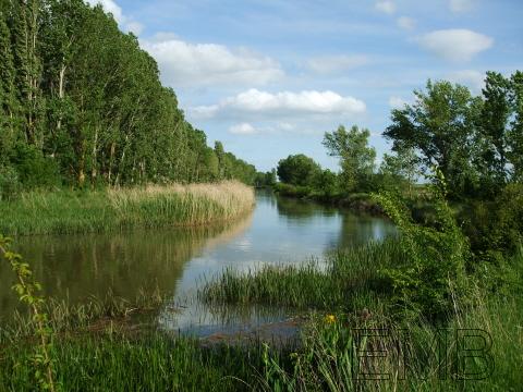 Descubriendo tierras palentinas