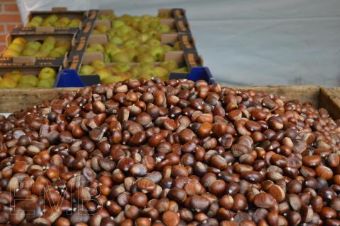 Productos del Bierzo