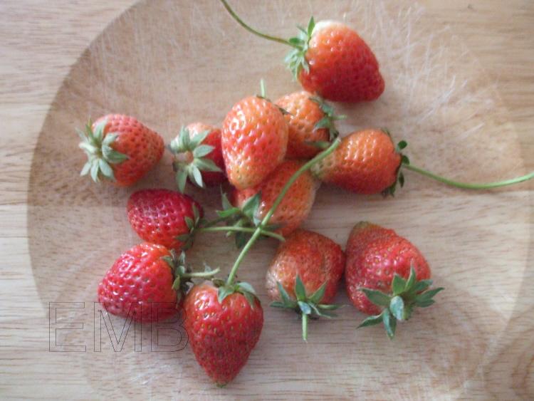 Una foto, un día: fresitas