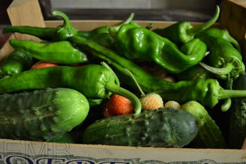 Una foto, un día: la cosecha del día