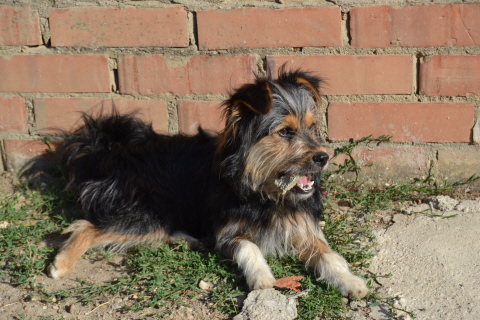 Una foto, un día: tanta comida… y tan poca.