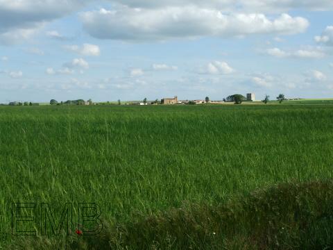 Tierra de campos palentina