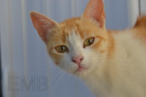 Una foto, un día: una loca de película