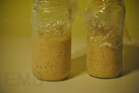 Una foto, un día: así de bien va mi masa madre