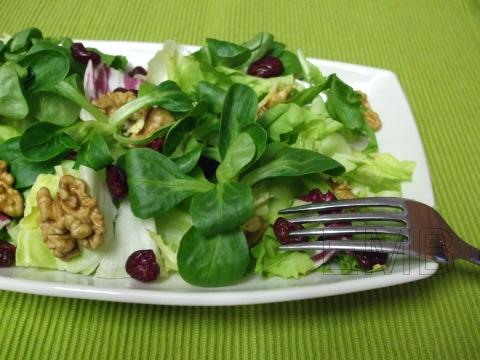Ensalada de nueces y arándanos rojos