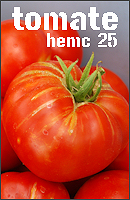 HEMC25-tomate