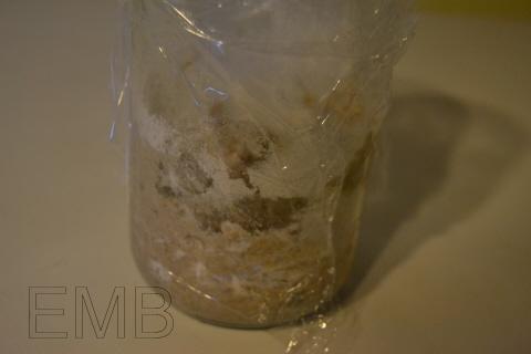 Una foto, un día: intentado hacer mi propia masa madre