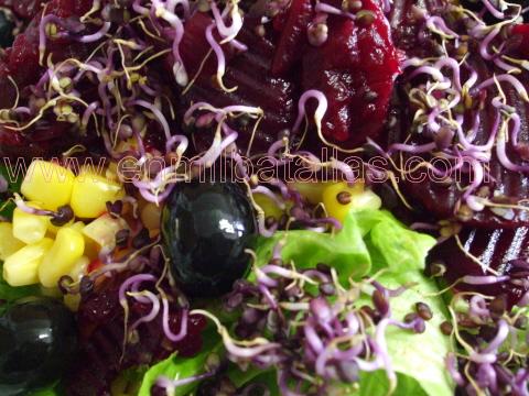 Ensalada a mi manera