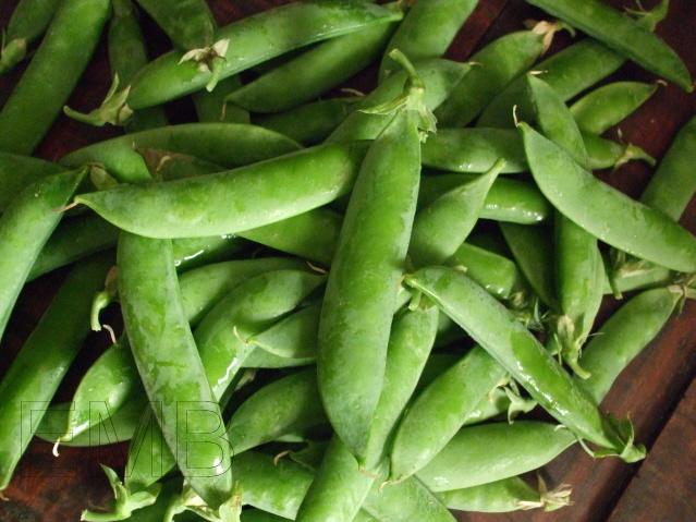 Guisantes frescos en vaina