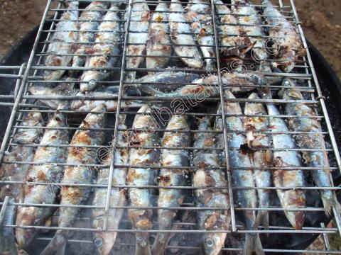 Parrillada de sardinas