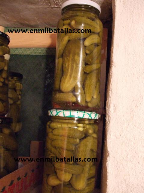 Pepinillos en vinagre embotados