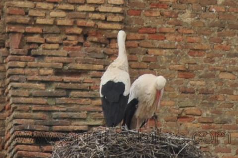 ¿Invierno o primavera?