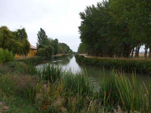 Canal de Castilla a su paso por Frómista