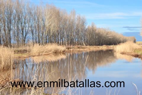 El Canal de Castilla en invierno