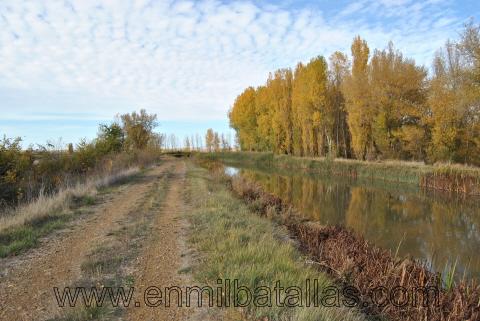 Otoño en el canalde castilla