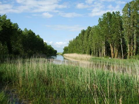 Canal de Castilla a su paso por la provincia de Palencia