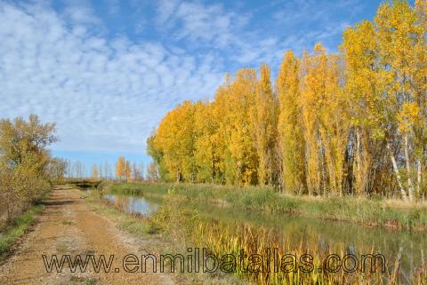 Paseando junto al canal de castilla