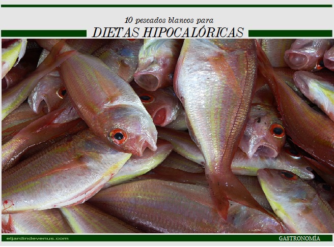 10 pescados blancos para dietas hipocalóricas
