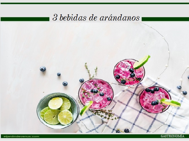 3 bebidas de arándanos - El Jardín de Venus