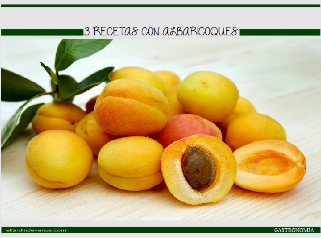 3 recetas con albaricoques - El Jardín de Venus