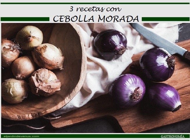 3 recetas con cebolla morada - El Jardín de Venus