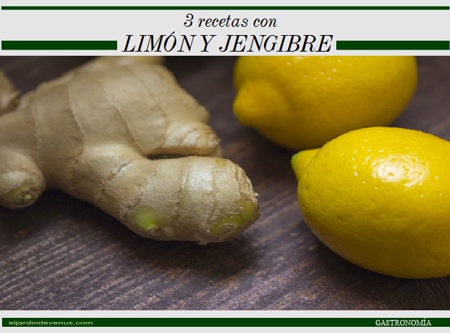 3 recetas con limón y jengibre - El Jardín de Venus