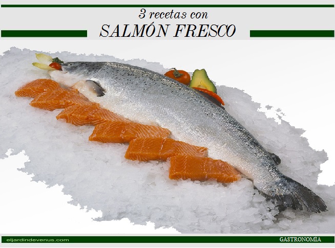 3 recetas con salmón fresco - El Jardín de Venus