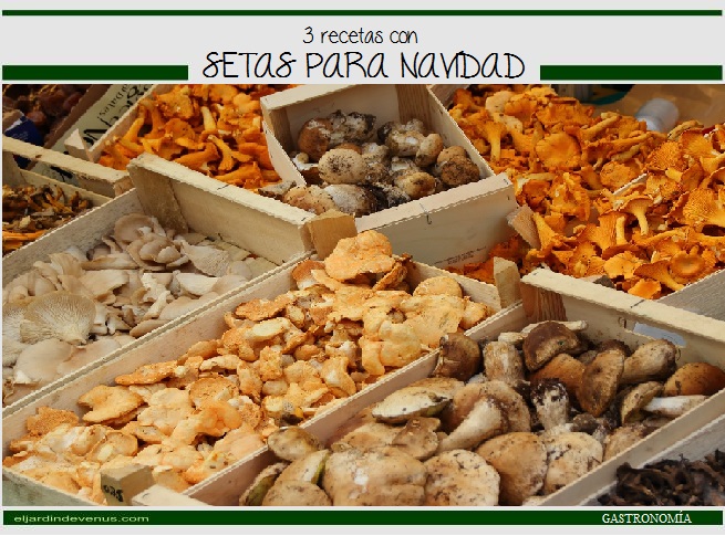 3 recetas con setas para Navidad