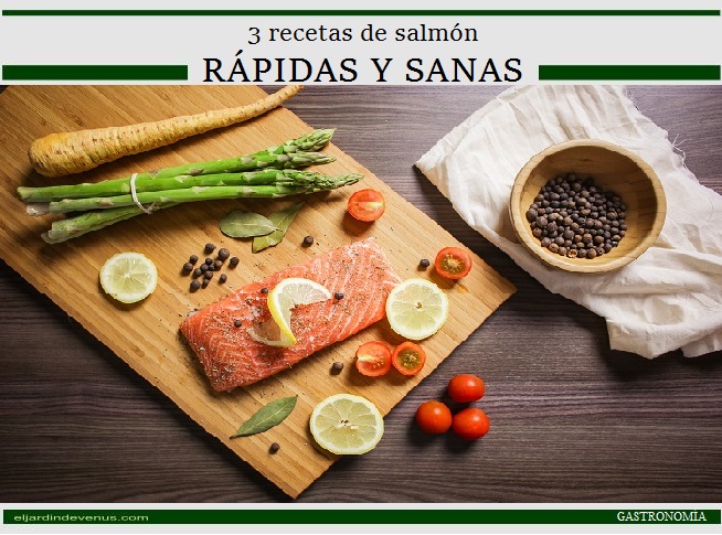 3 recetas de salmón rápidas y sanas - El Jardín de venus