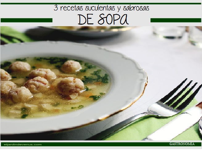 3 recetas suculentas y sabrosas de sopa