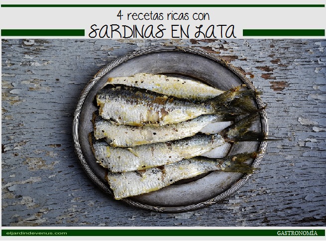 4 recetas ricas con sardinas en lata - El Jardín de Venus