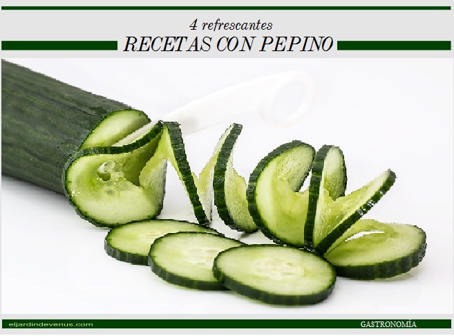 4 refrescantes recetas con pepino