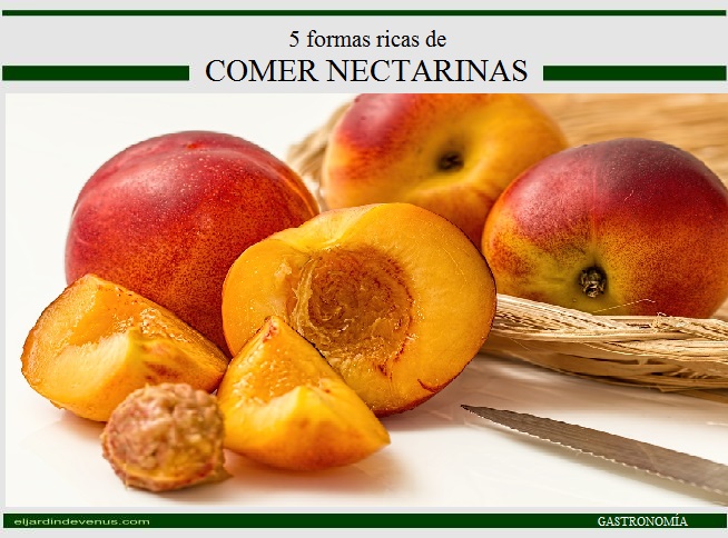 5 formas ricas de comer nectarinas