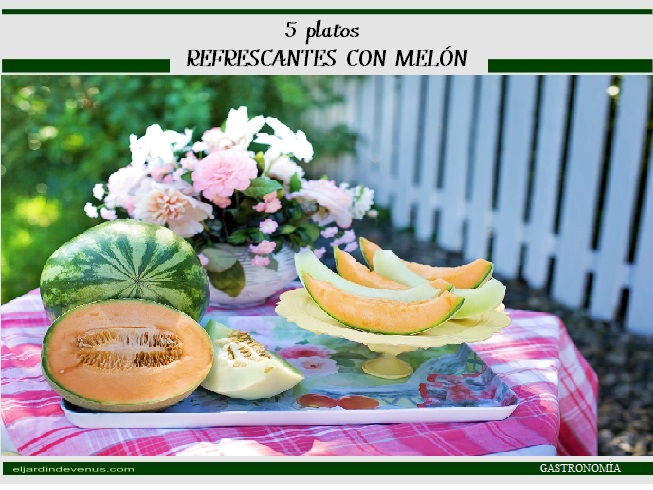5 platos refrescantes con melón