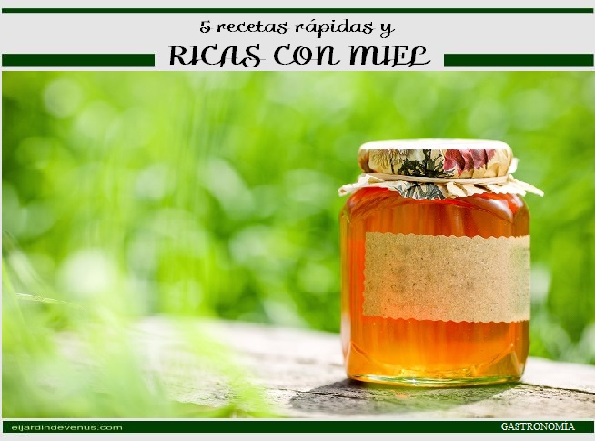 5 recetas rápidas y ricas con miel