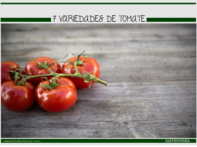 7 variedades de tomate