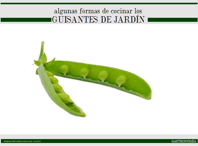 algunas formas de cocinar guisantes de jardín - El Jardín de Venus