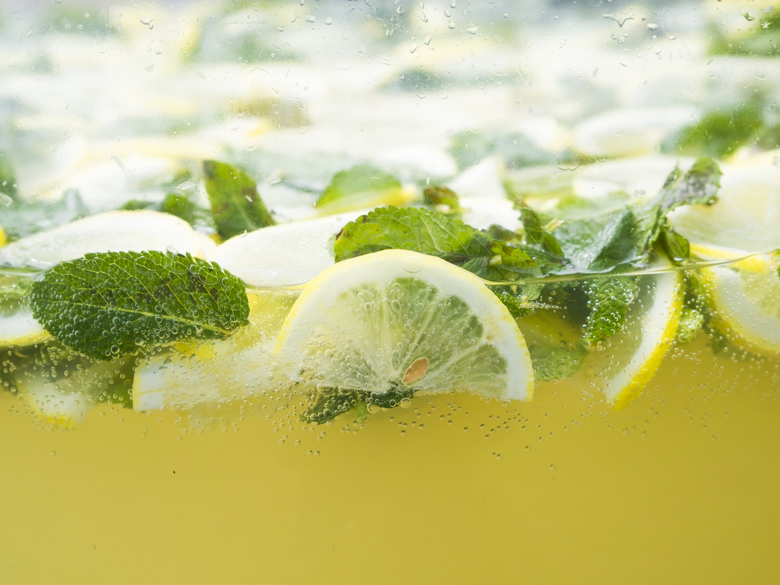 Bebidas con limones - El Jardín de Venus
