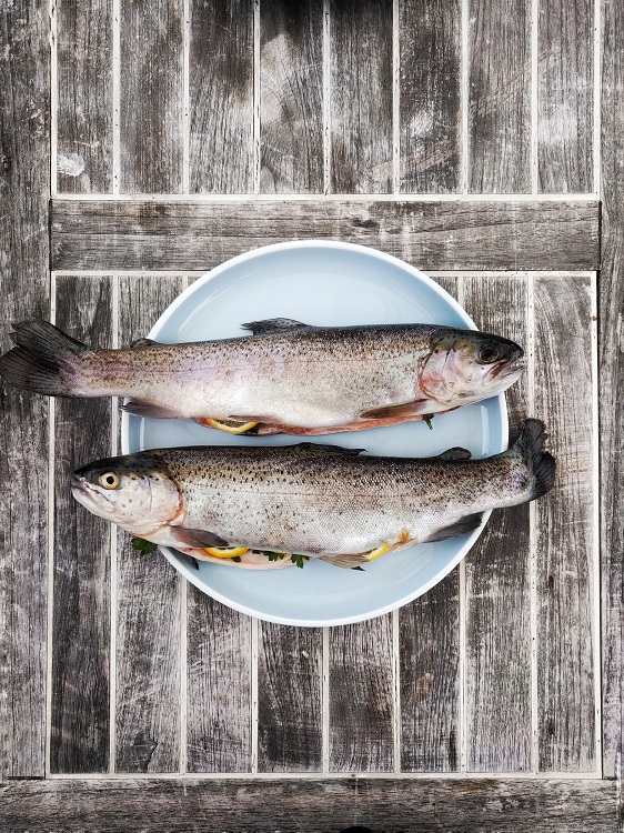 Cómo cocinar el pescado en pocos minutos - El Jardín de Venus