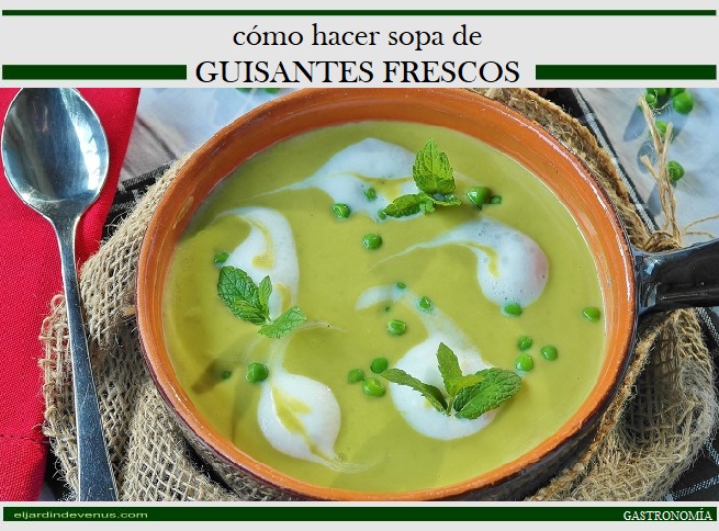 Cómo hacer sopa de guisantes frescos - El Jardín de Venus