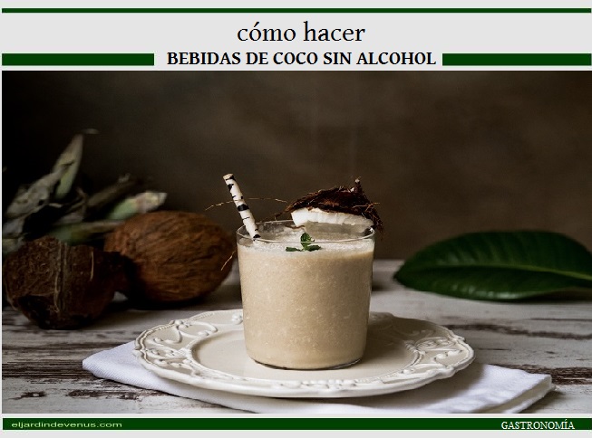 Cómo hacer bebidas de coco sin alcohol - El Jardín de Venus