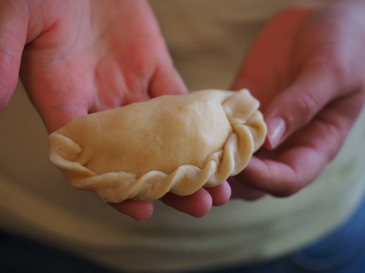 Con qué rellenas empanadillas - El Jardín de Venus