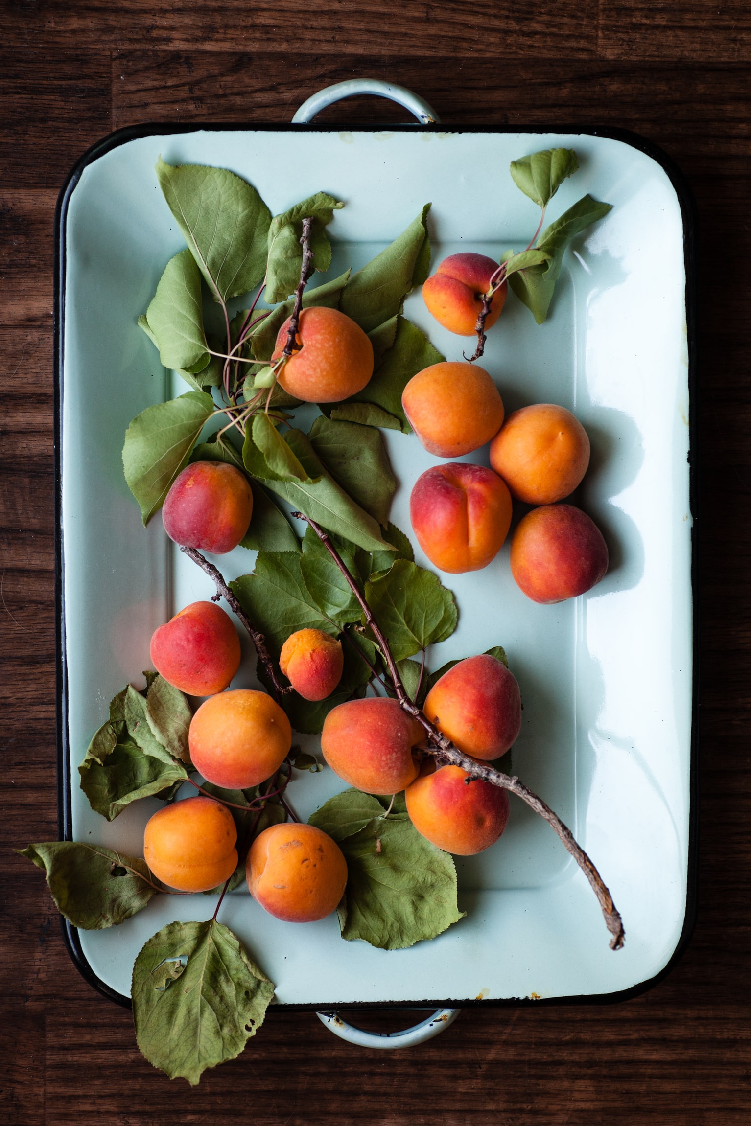 Con qué sabores combinan bien los albaricoques - El Jardín de Venus