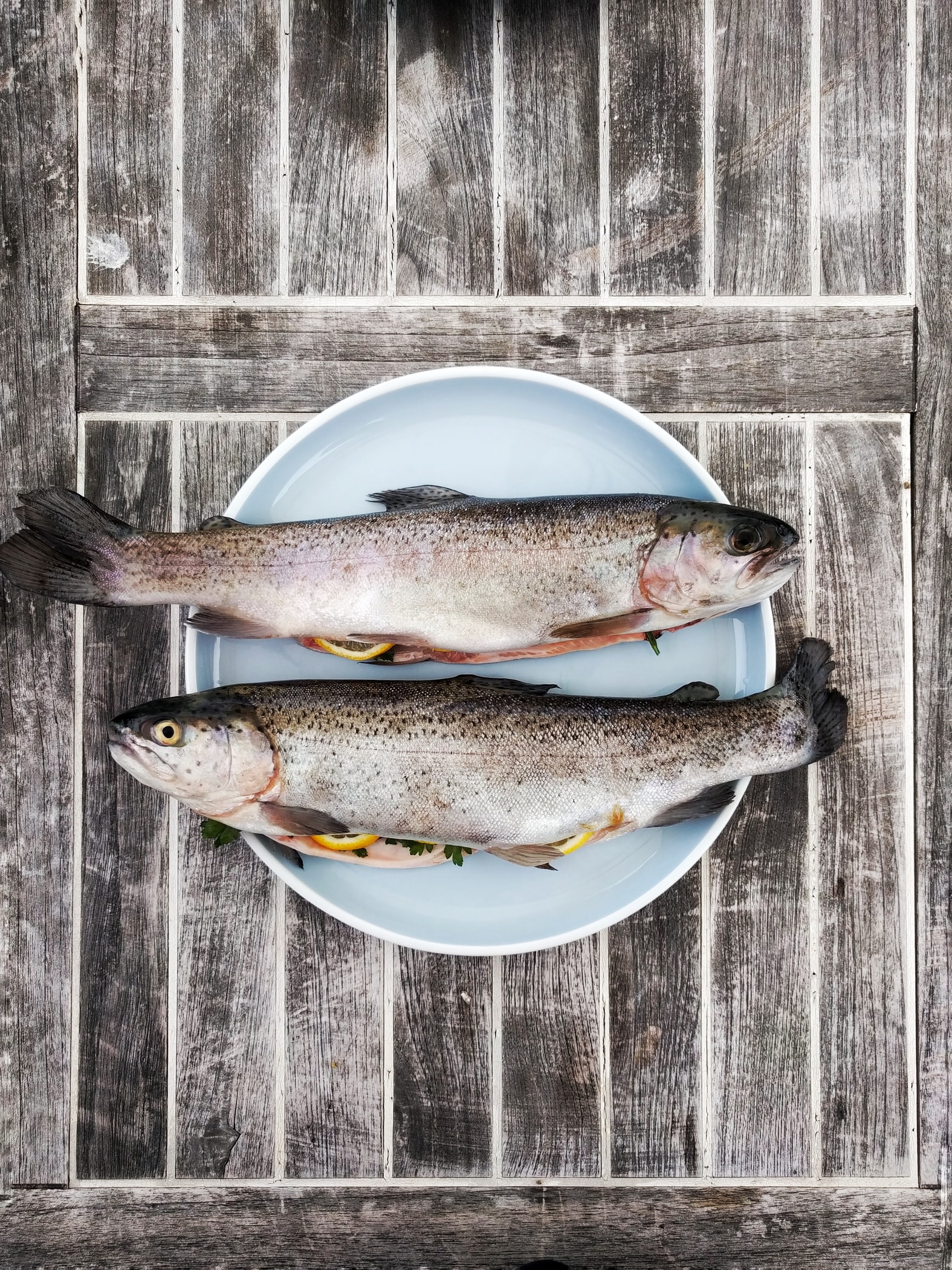 Cuáles son los pescados más baratos y saludables - El Jardín de Venus