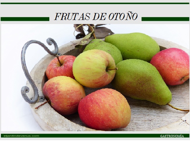 Frutas de otoño - En Mil Batallas