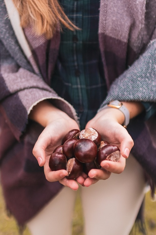 Qué cocino con castañas para Navidad - El Jardín de Venus