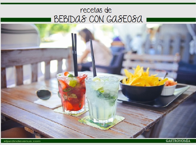 Recetas de bebidas con gaseosa - El Jardín de Venus