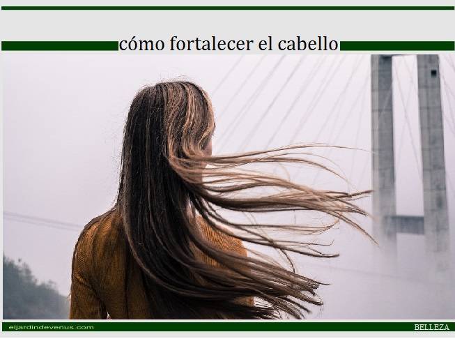 Cómo fortalecer el cabello -El Jardín de Venus