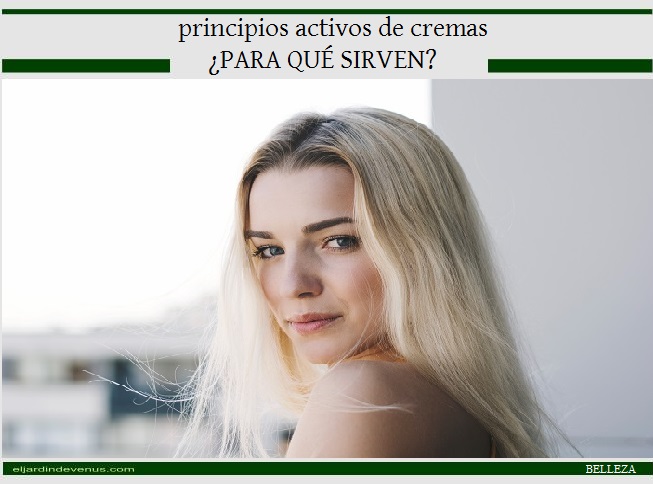 Principios activos de cremas, ¿para qué sirven? - El Jardín de Venus