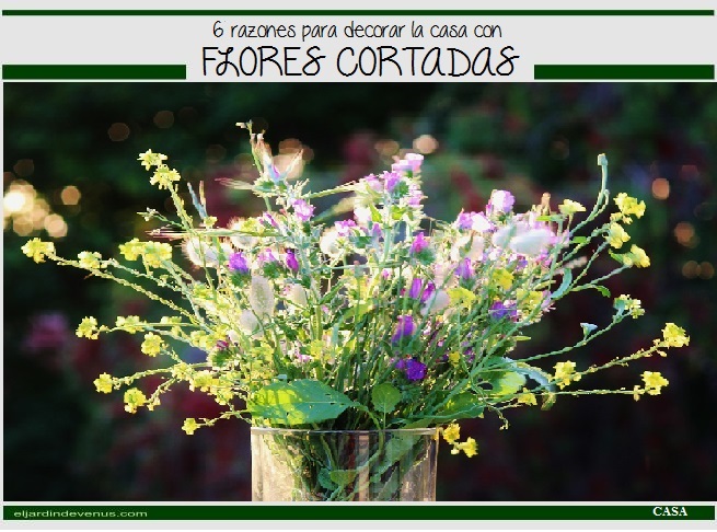 6 razones para decorar la casa con flores cortadas